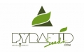 Полный ассортимент популярного испанского банка Pyramid Seeds, впервые в нашем магазине.