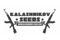  Kalashnikov seeds