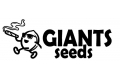    Giants seed   !